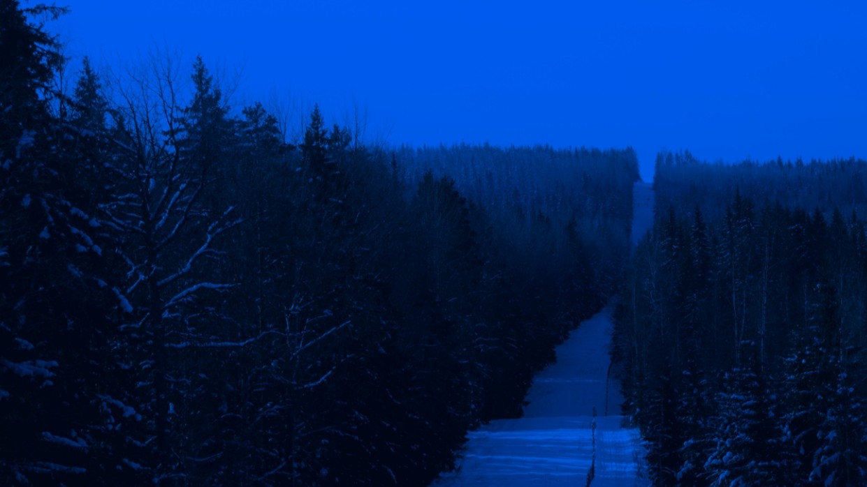 Дорога через ліс