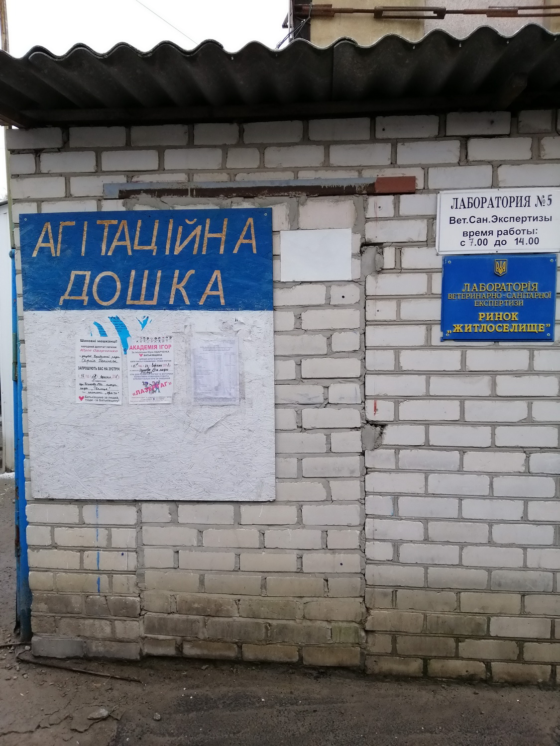 23 01 2019 Kherson mesta agitacii 5