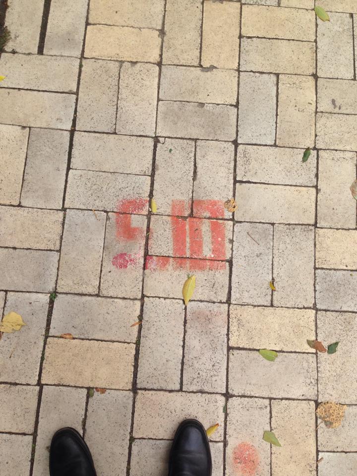 news 25 09 2014 Kiev Partia 5.10 foto4