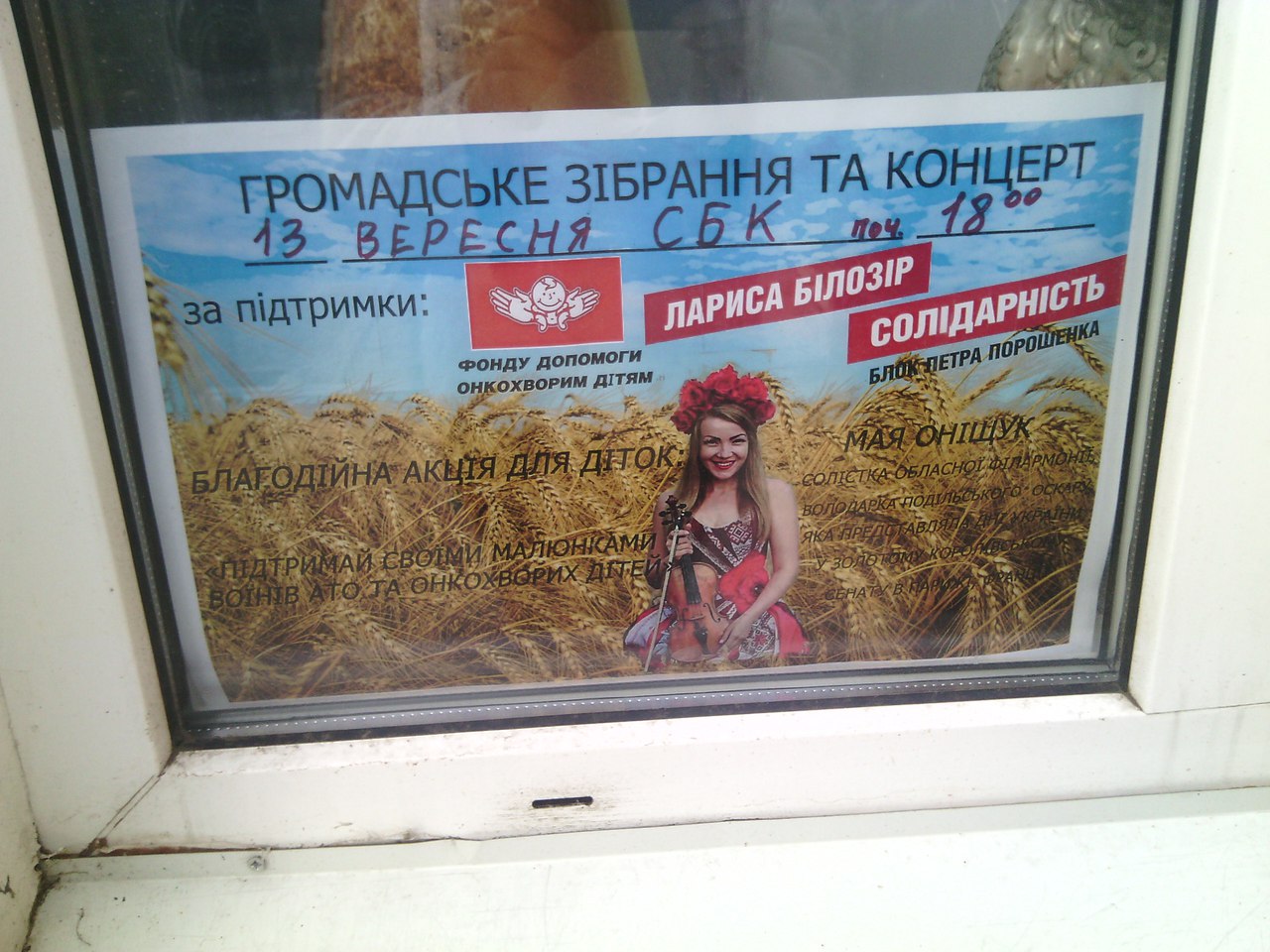 vinnitsa zibrannya za pidtrymky solidarnosti1