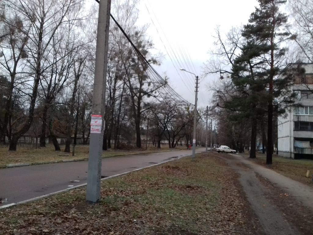 news 10.12 Chernihivshchyna Напередодні виборів на стовпах зявилися листівки 2